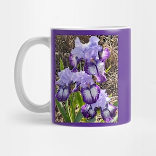 Purple and White Iris Flower Mug